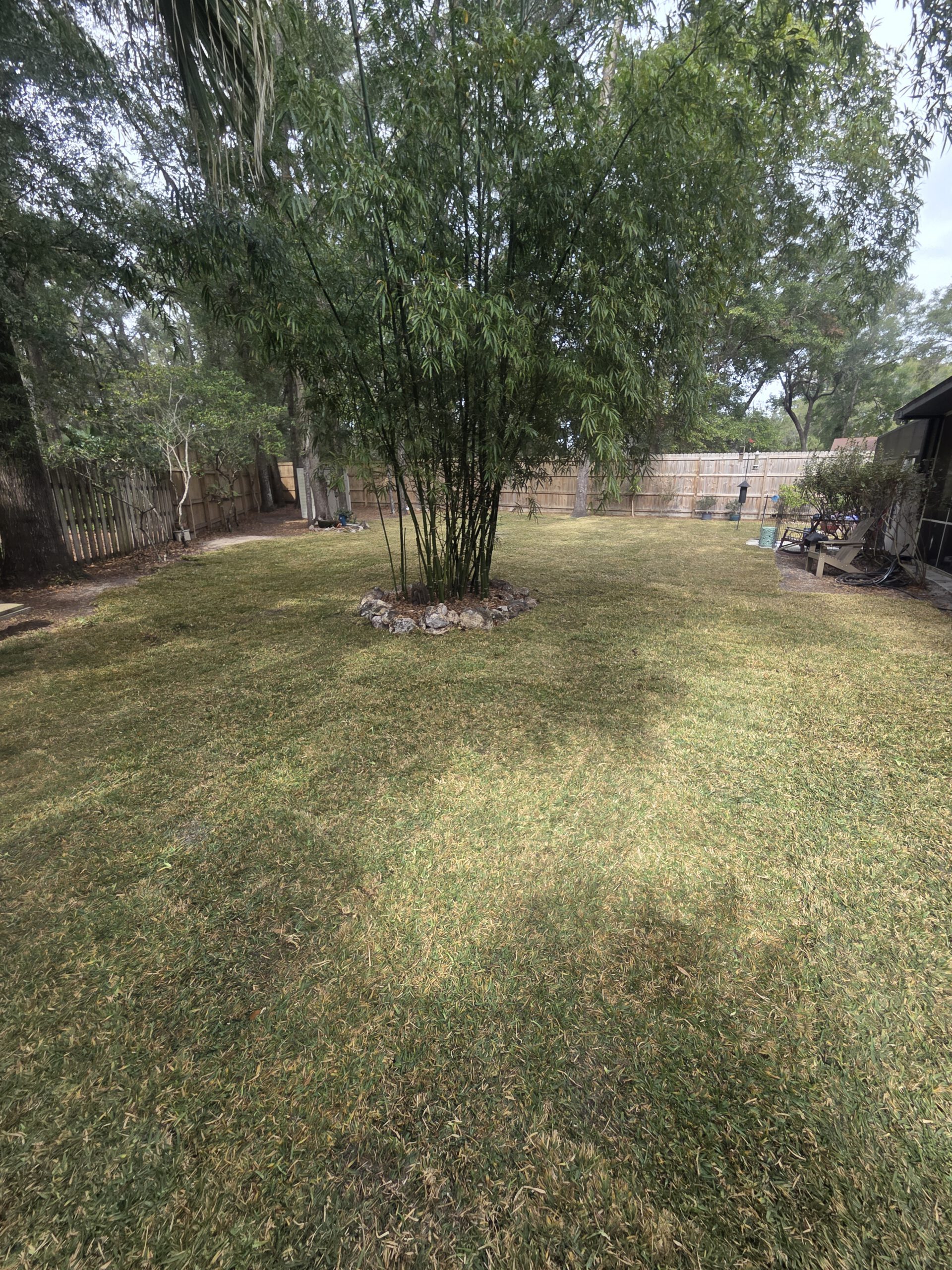 Commercial sod installation